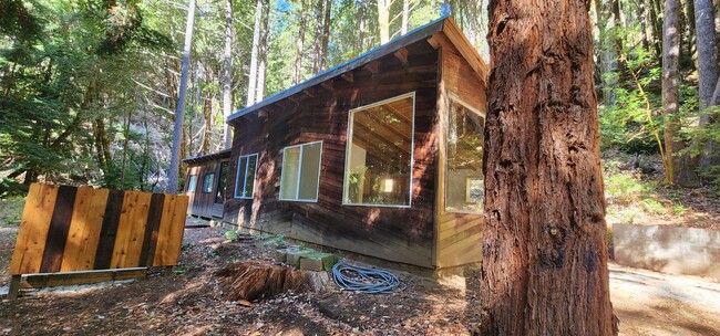 Building Photo - Cabin In the Wood!