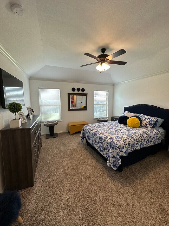 Master - 264 Oxford Dr