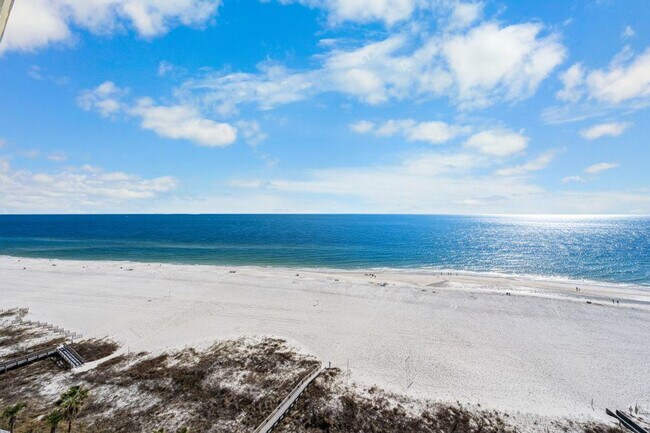 Building Photo - 24770 Perdido Beach Blvd