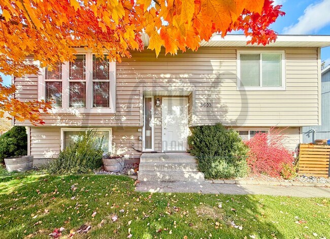 Primary Photo - Beautiful South Hill Home