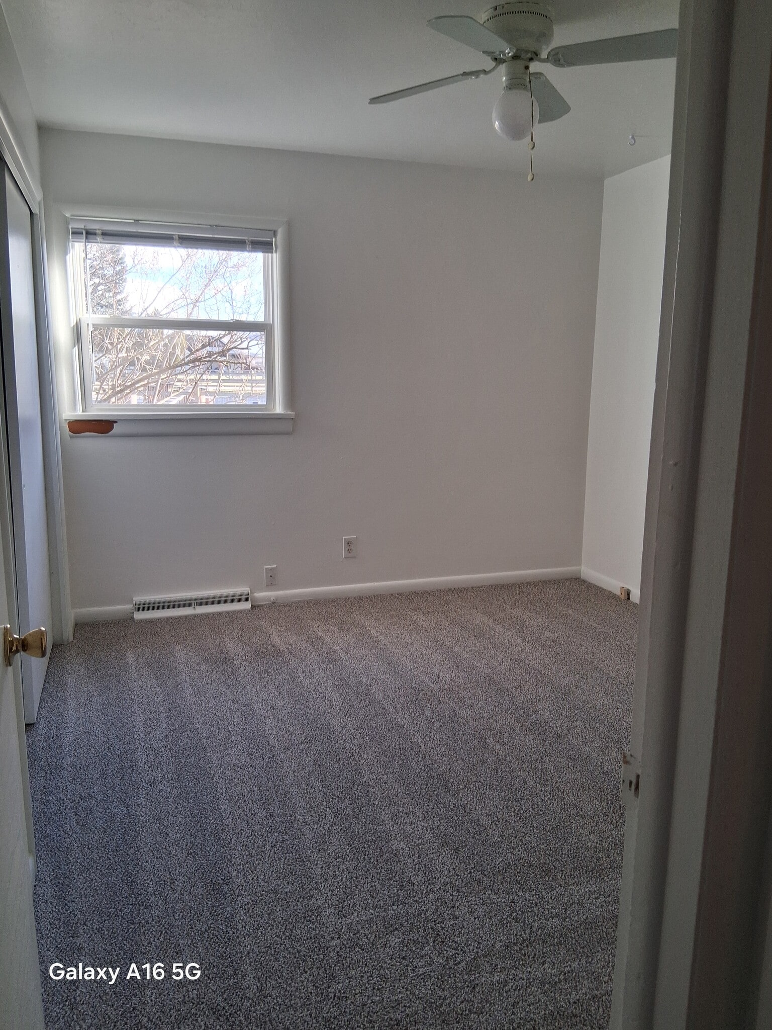 Building Photo - 2424 Mc Cauley Ln