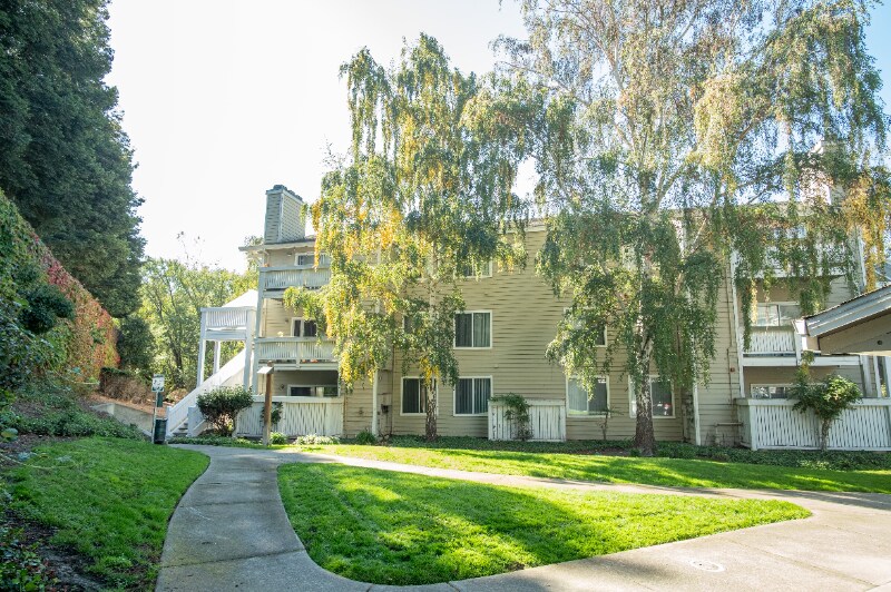 Building Photo - 2491 Creekside Ct