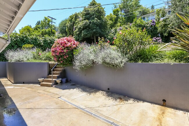 Rear Patio - 4059 Woodman Cyn