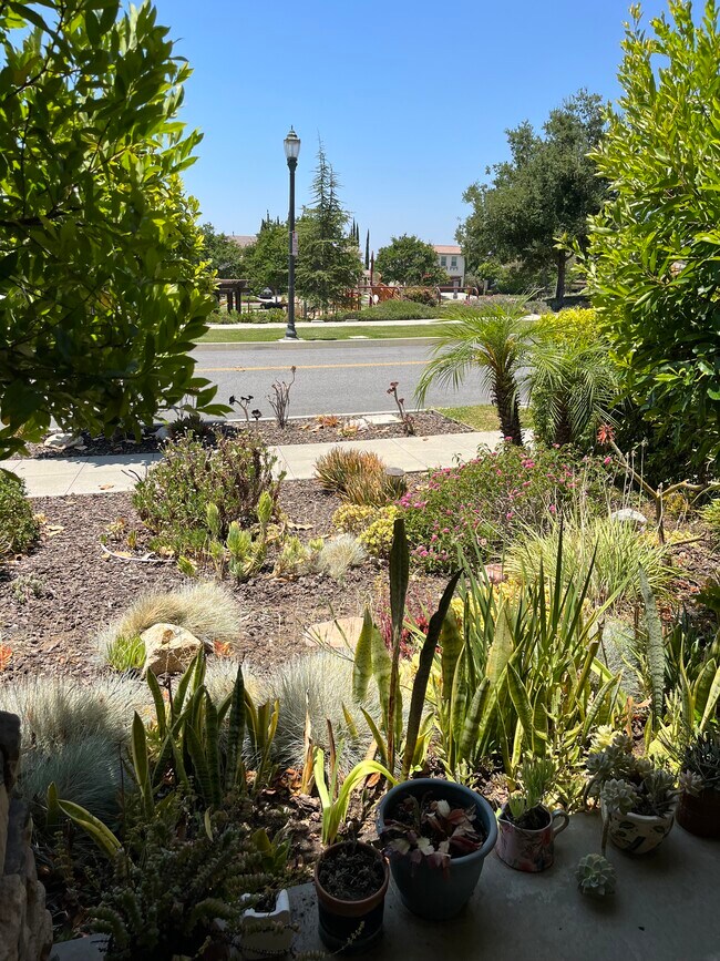 Building Photo - 675 E Boxwood Ln