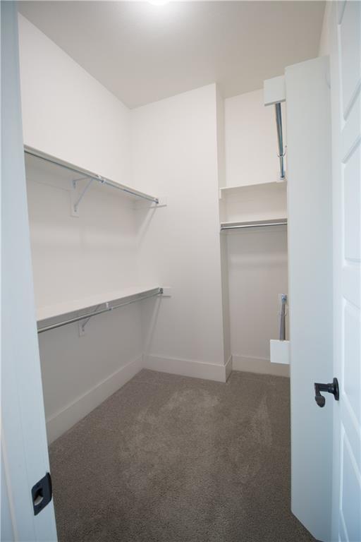 Building Photo - 1431 Cave Stream Dr