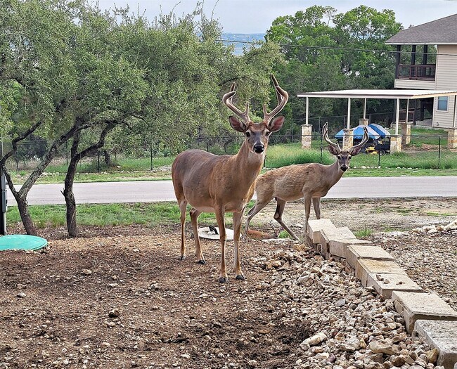 Building Photo - 1526 Lakeside Dr W