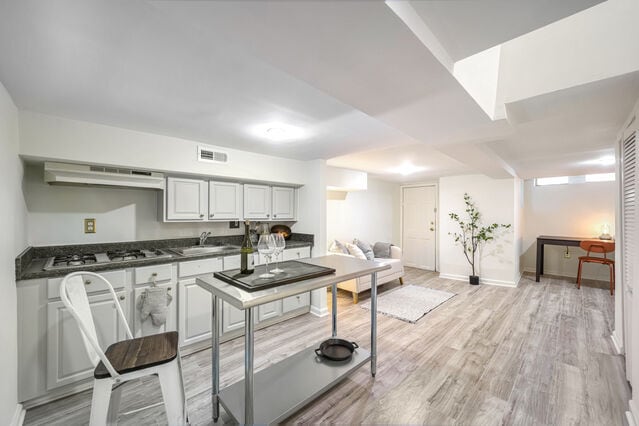 Basement, half kitchen, living area - 772 Harvard St NW