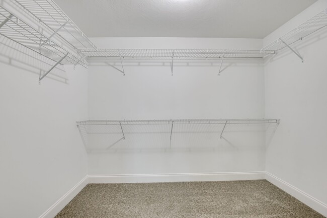 Building Photo - 1721 Dunmore Ave