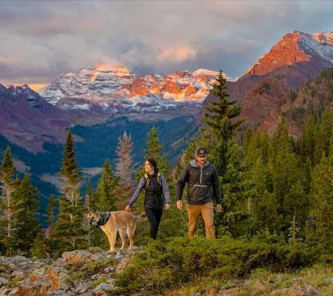 Building Photo - 800 S Mill St