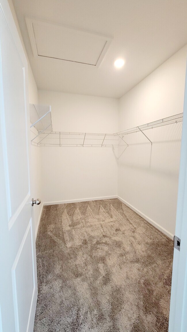 Building Photo - 6061 Blissful St
