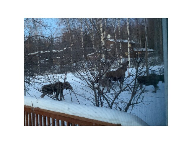 Building Photo - 2279 Franklin St