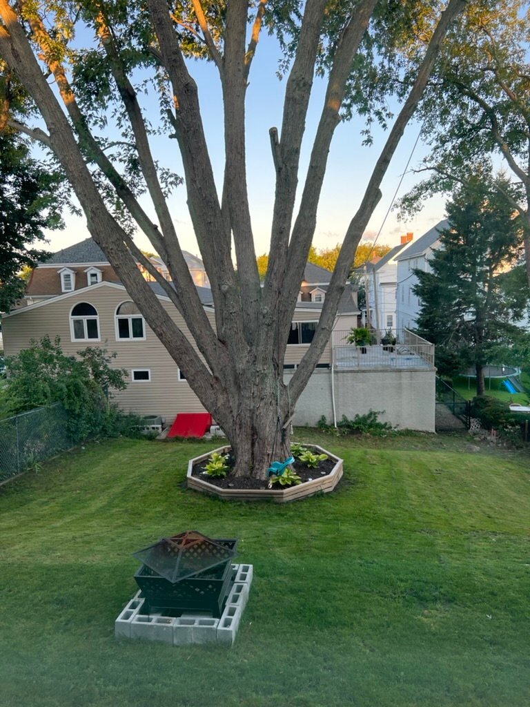 Building Photo - 521-523 S Almond St