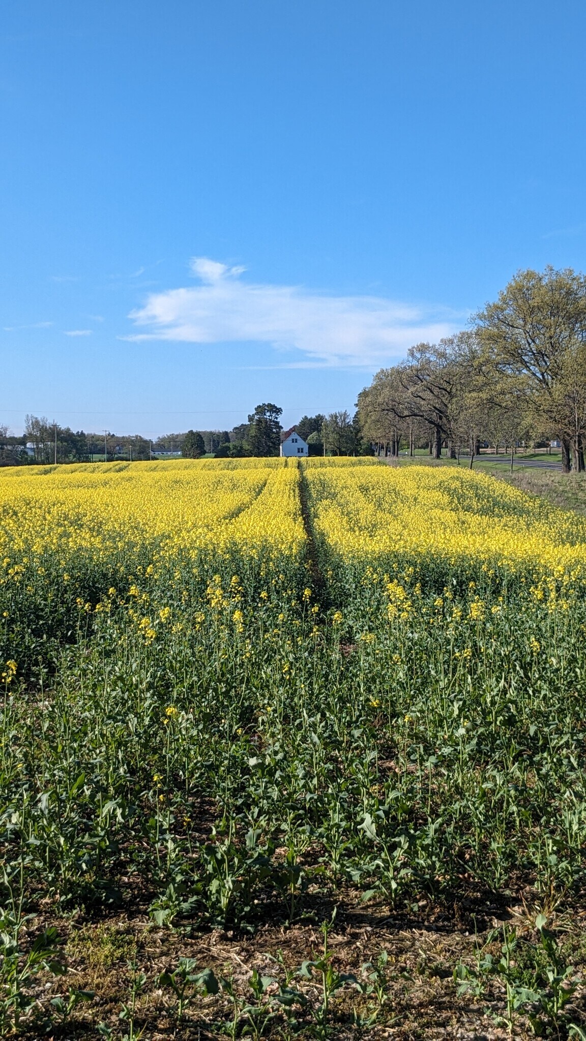 Building Photo - 8970 E Gull Lake Dr