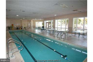 Building Photo - 805 Thicket Ct