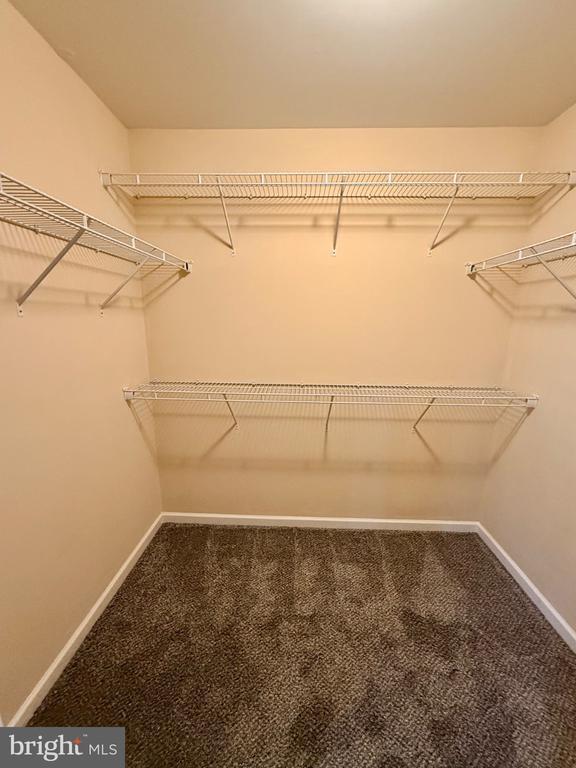 Building Photo - 9330 Birch Cliff Drive