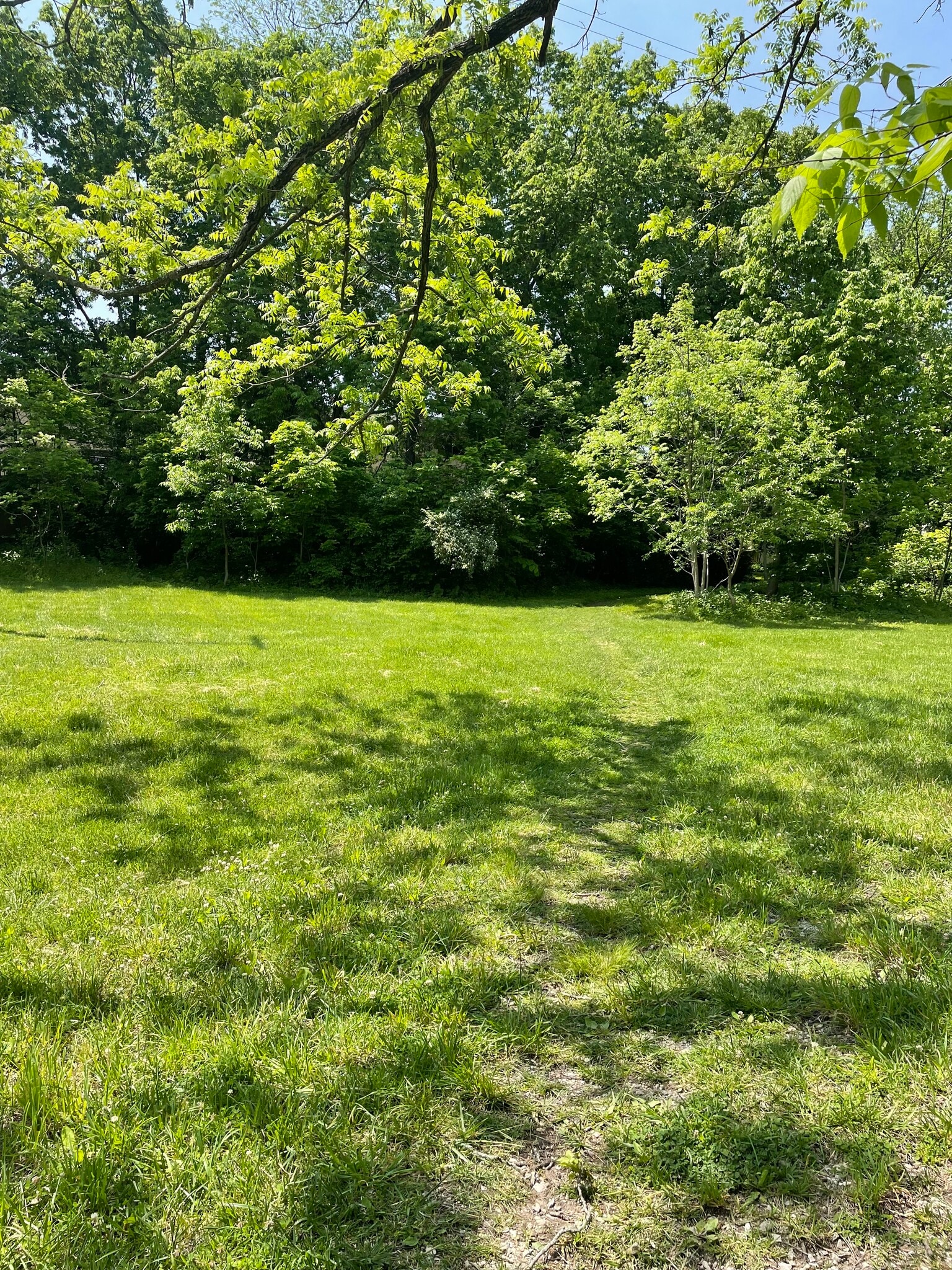 Building Photo - 3240 Brookview Way