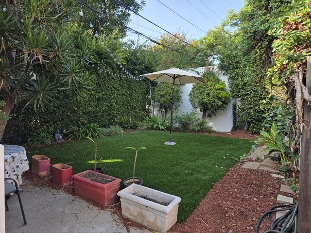 Back yard - 1009 Havenhurst Dr