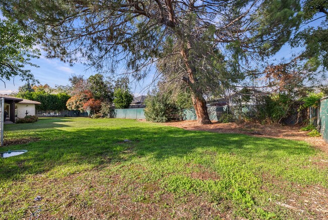 Building Photo - 1096 Corino Real Ct