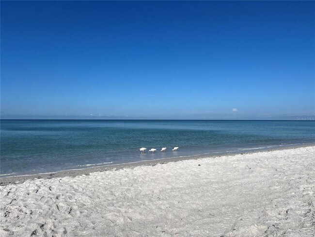 Building Photo - 2425 Gulf of Mexico Dr