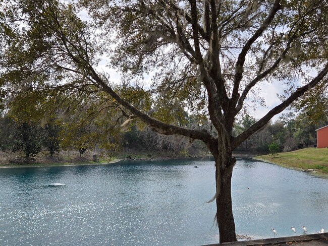 Building Photo - Eagle Trace Townhomes | 3BR/3.5BA | 2.3 Miles to UF– New Construction