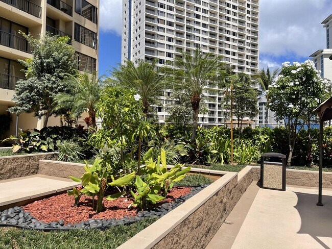 Building Photo - Waikiki, Pet Friendly. Central AC