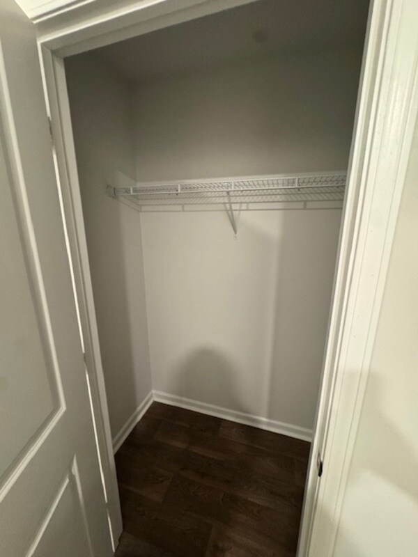 Building Photo - 204 Wild Strawberry Ln
