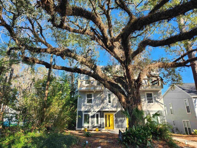 Primary Photo - 1243 N Bronough St