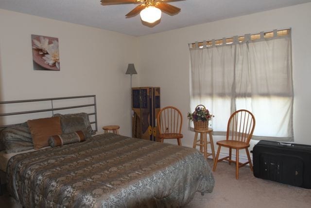 Second Bedroom - 238 Base Hill Rd