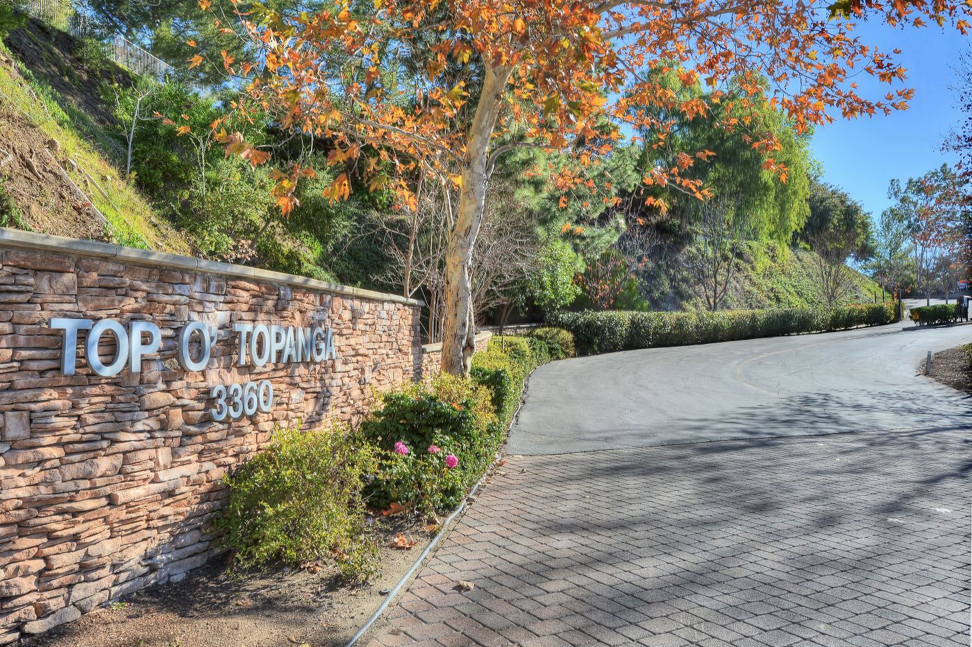 Building Photo - 3360 N Topanga Canyon Blvd