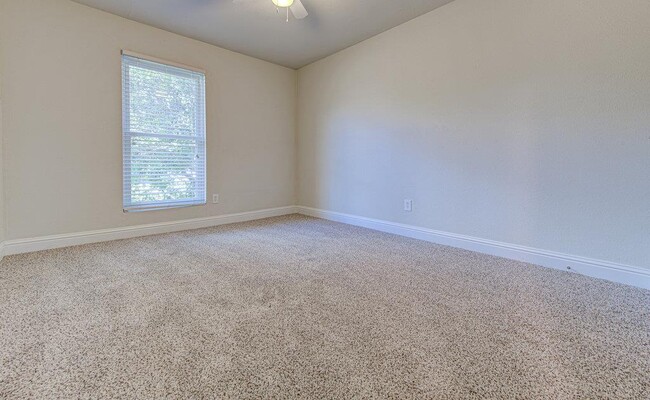 Building Photo - 1711 Cricket Hollow Dr