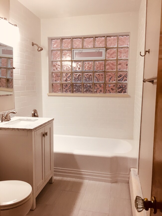 One remodeled bathroom - 5870 N Elston Ave