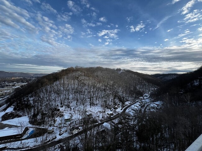 Building Photo - Beautiful Fifteenth floor Furnished one Bedroom with Views