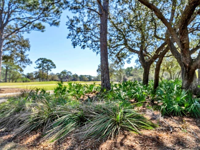 Building Photo - 330 Kelly Plantation Dr