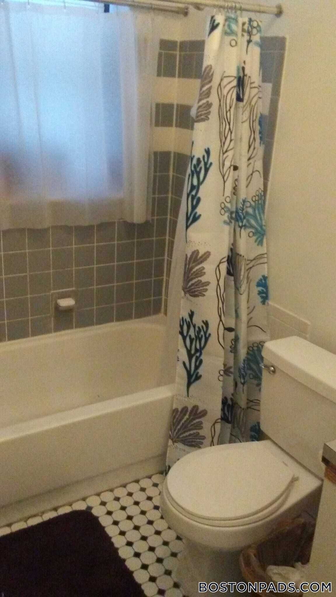 Building Photo - 833 Beacon St