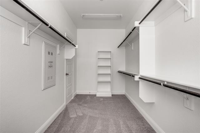 Building Photo - 4628 Piedras Lanzar Dr