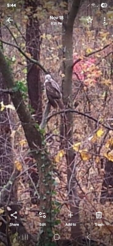 Building Photo - 892 N State Rd 149