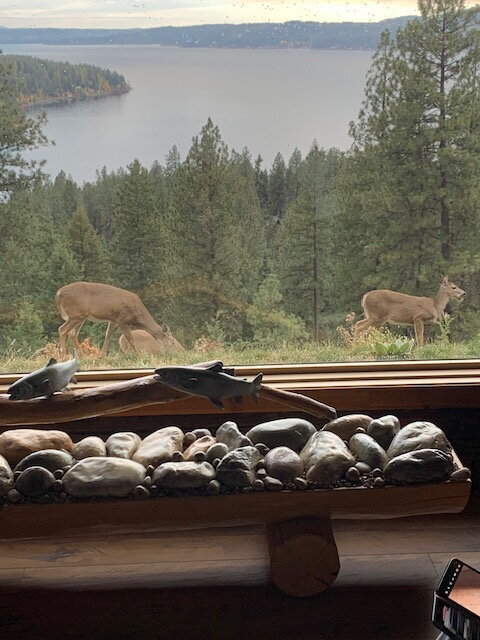 Building Photo - 2BR, 2BTH Executive Log Cabin Living Overlooking Carlin Bay on Lake Coeur d'Alene