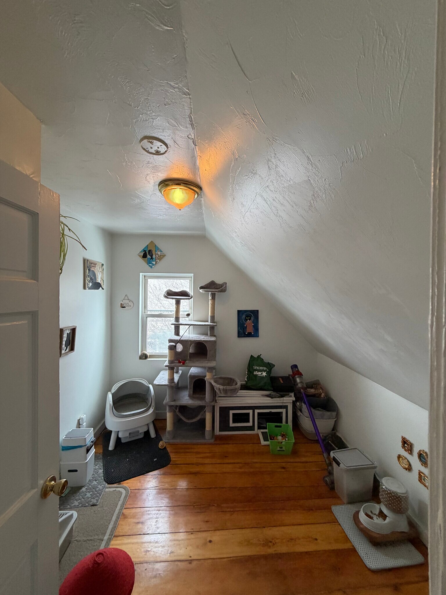 Building Photo - 66 Pleasant St