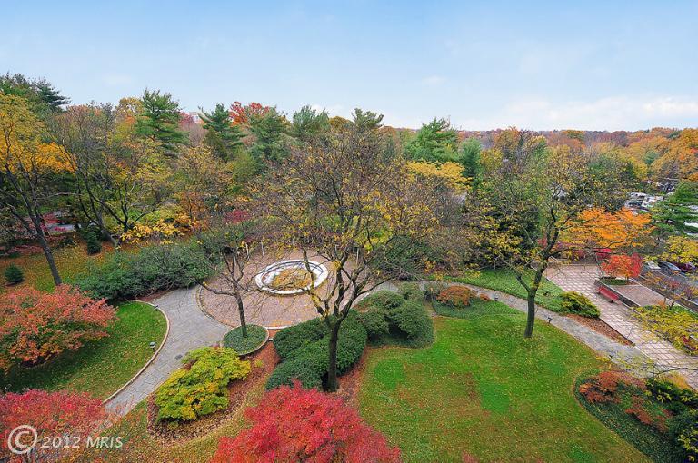 landscaping - 5101 River Rd