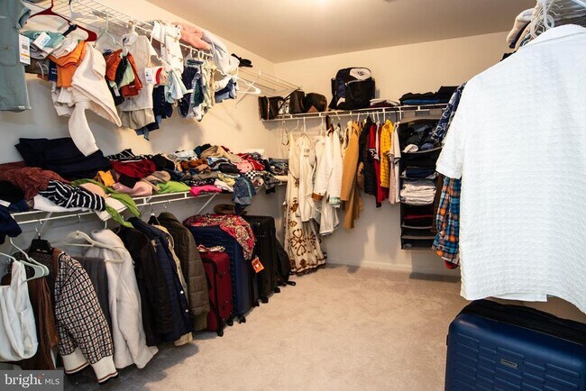 Building Photo - 20 Aster Ln