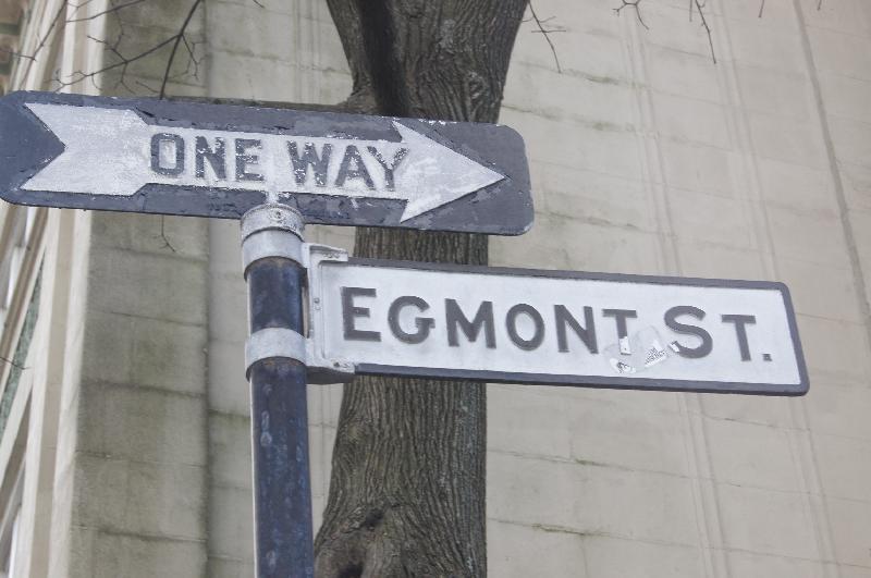 Building Photo - 62 Egmont St