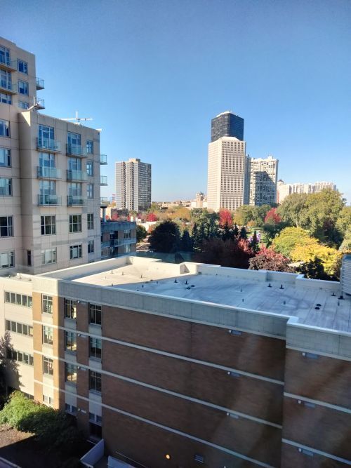 Building Photo - 5100 N Marine Dr