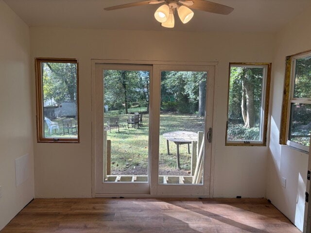 Building Photo - Hardwood floors and beautiful back yard in...