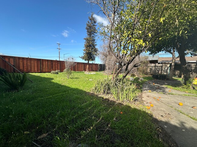 Building Photo - Lovely 3 Bed, 1 Bath with large backyard