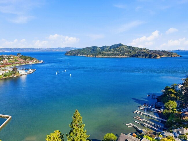 Building Photo - 172 Bella Vista Ave