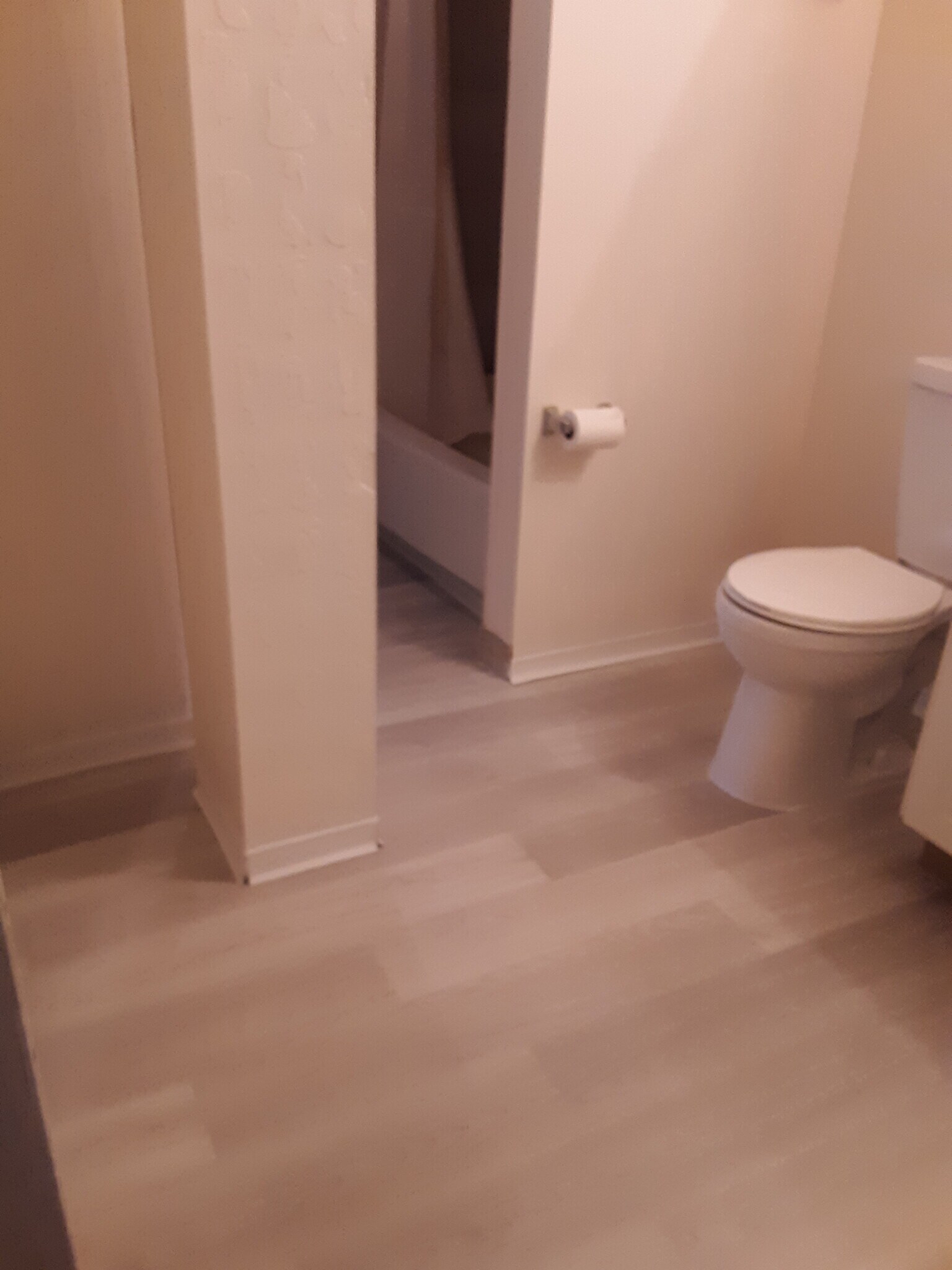 Apt 1 - bathroom - 523 E State St