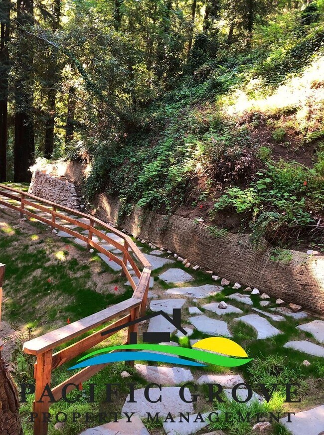 Building Photo - Cabin on Palo Colorado