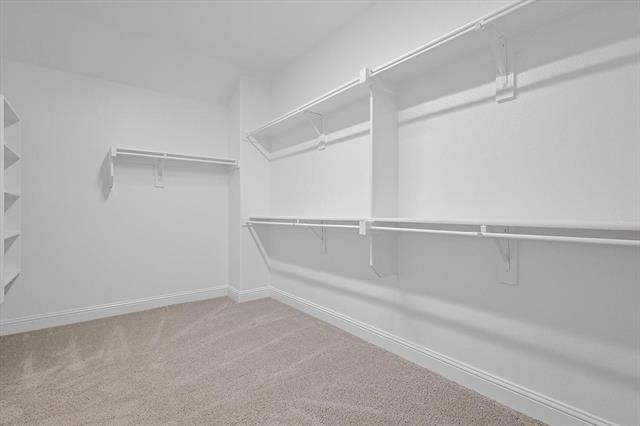 Building Photo - 1752 Blakely Pl