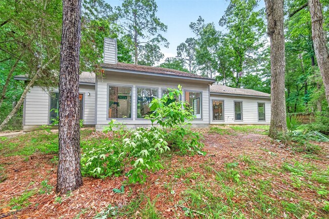 Building Photo - 41 Creek Forest Ln