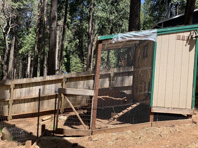 Building Photo - 3 bedroom 2 bathroom home near Sly Park Lake for rent!